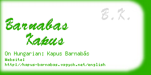 barnabas kapus business card